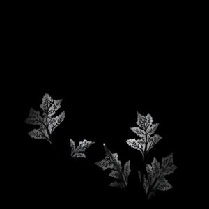 Shadows and Silhouettes in Monochrome – free AI stock image