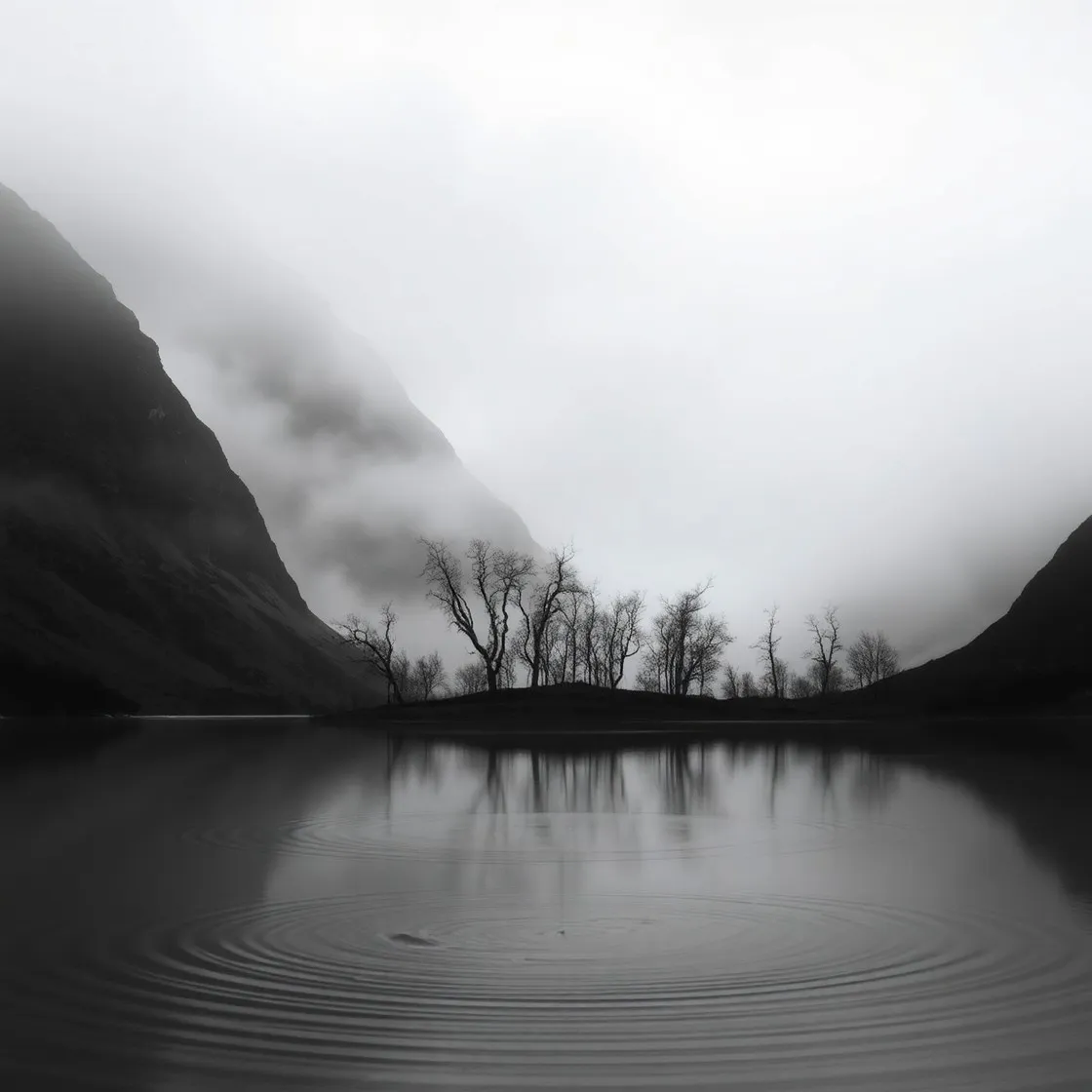 Shadows and Silhouettes in Monochrome Landscape