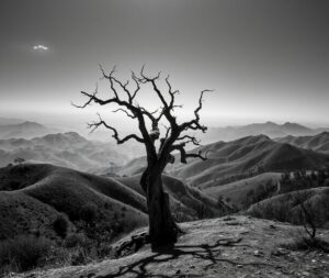 Shadows and Silhouettes in Monochrome Vista – free AI stock image