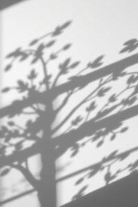 Shadows Dancing on Monochrome Walls – free AI stock image
