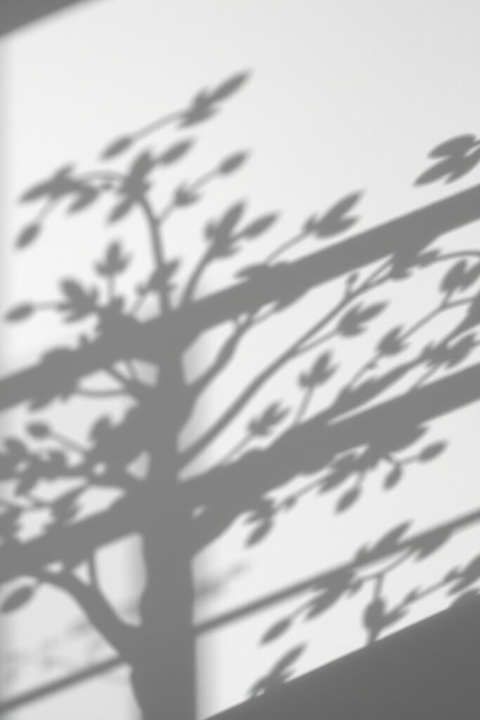 Shadows Dancing on Monochrome Walls – free AI stock image