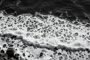 Silent Elegance of Monochrome Waves – free AI stock image