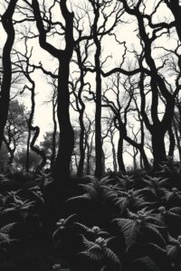 Silent Shadows of a Monochrome Forest – free AI stock image