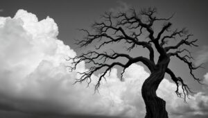 Silhouetted Tree Against Clouds – free AI stock image