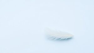 Simplicity in Feather – free AI stock image