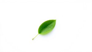 Solitary Leaf on White Canvas – free AI stock image