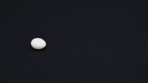 Solitary Pebble on Dark Background – free AI stock image