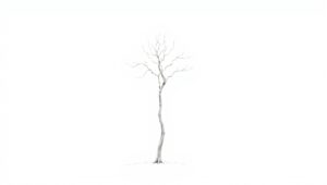 Solitary Tree in Minimalist Style – free AI stock image