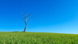 Solitude in a Minimalist Landscape – free AI stock image