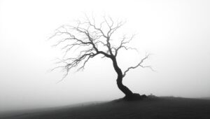 Solitude in Monochrome Landscape – free AI stock image