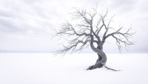 Solitude in Monochrome Shadows – free AI stock image