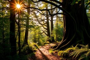 Sunlight Filtering Through a Dense Forest Canopy – free AI stock image