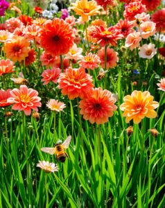 A Symphony of Colorful Spring Flowers – free AI stock image