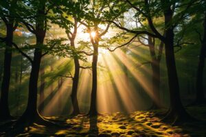 Tranquil Forest at Dawn with Mist – free AI stock image