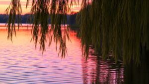 Tranquil Lakeside at Dusk – free AI stock image