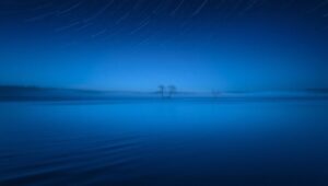 Tranquil Waters and Starry Nights – free AI stock image