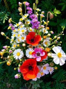 Vibrant Bouquet of Wildflowers in Full Bloom – free AI stock image