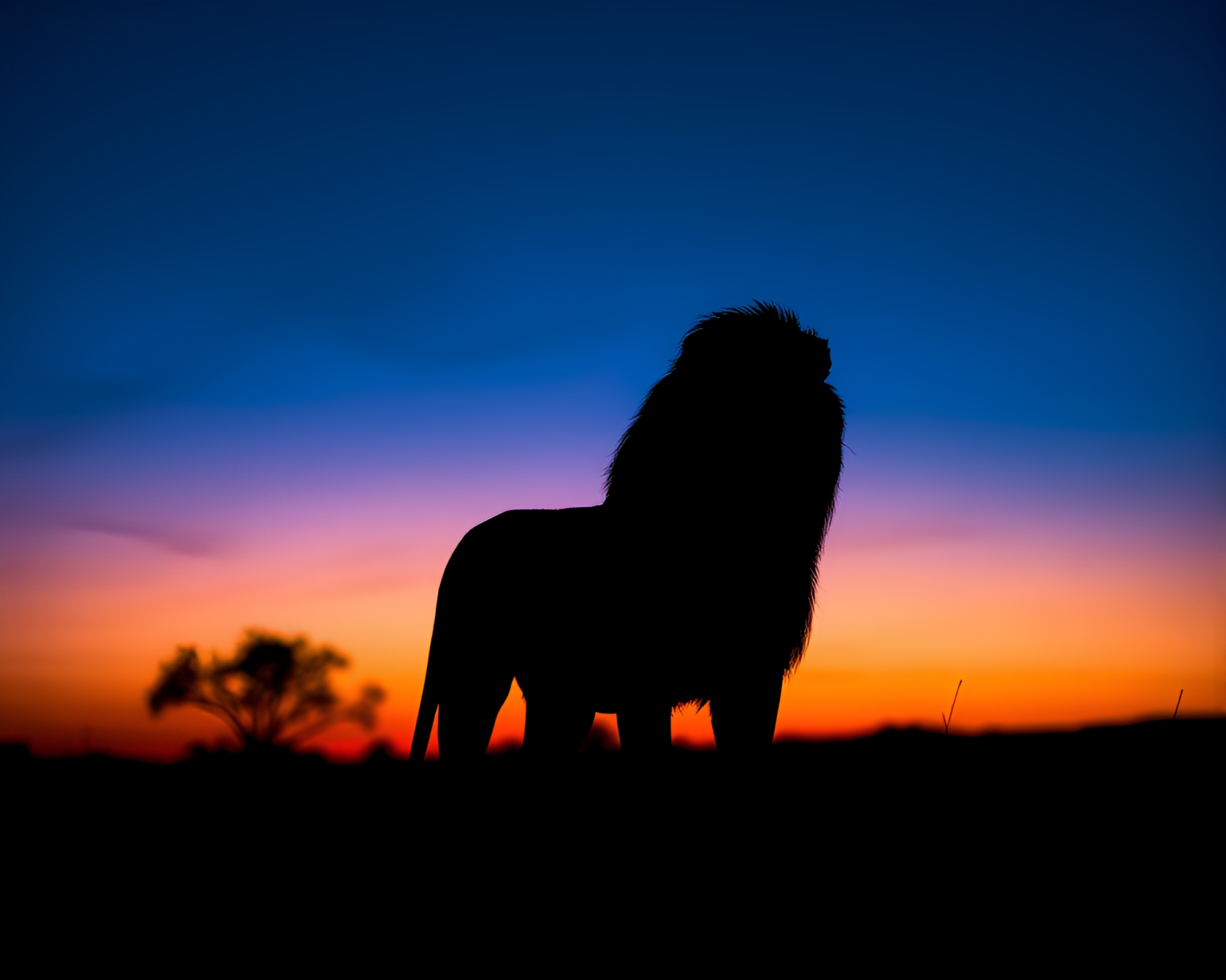 Majestic Lion Silhouette at Twilight – free AI stock image