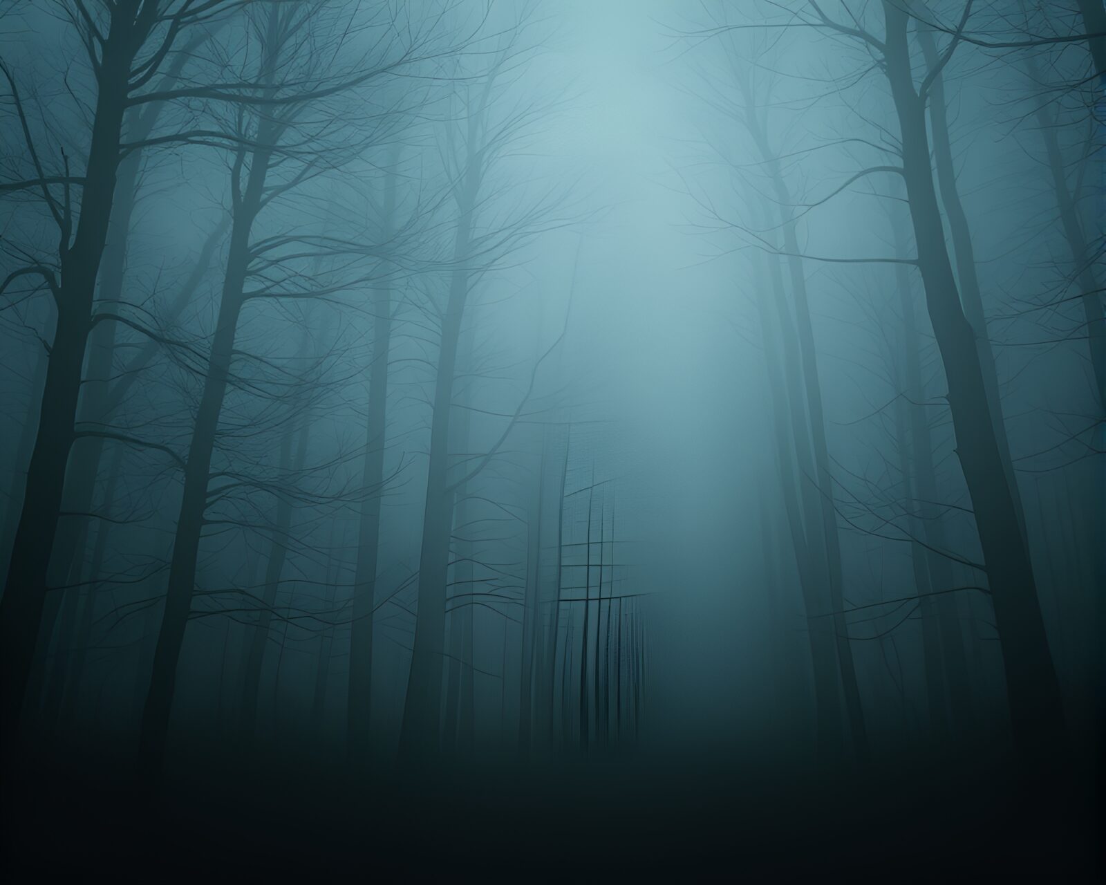 Misty forest with dark trees and foggy atmosphere