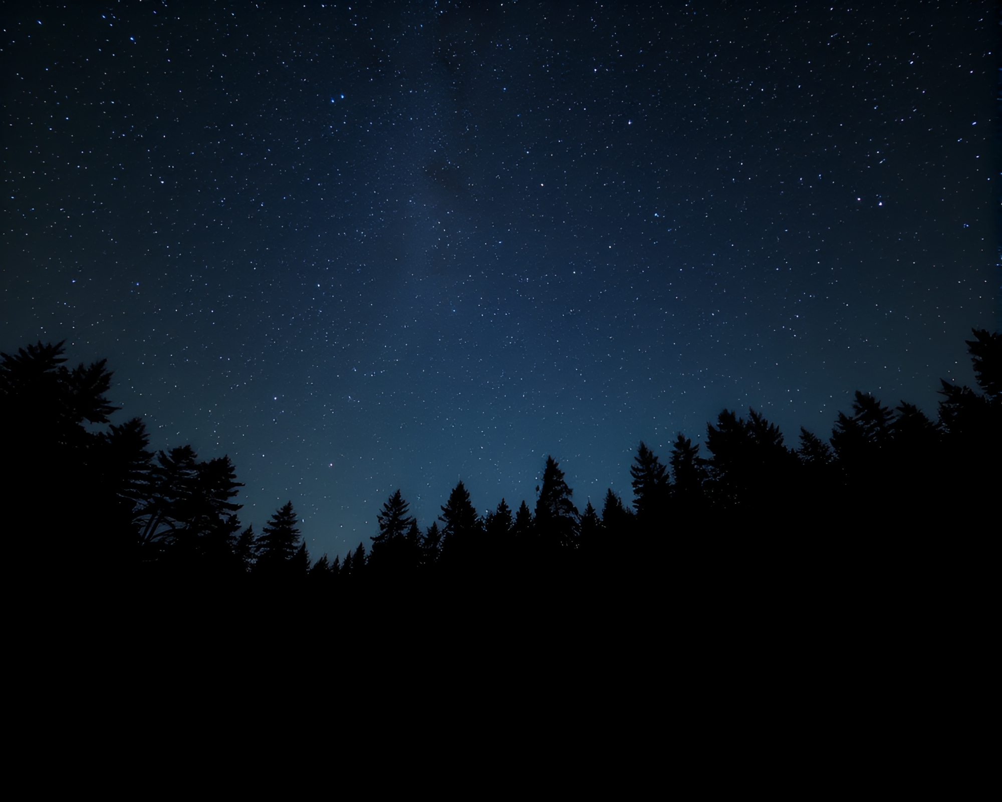 Starry Night Sky over Enchanted Forest – free AI stock image