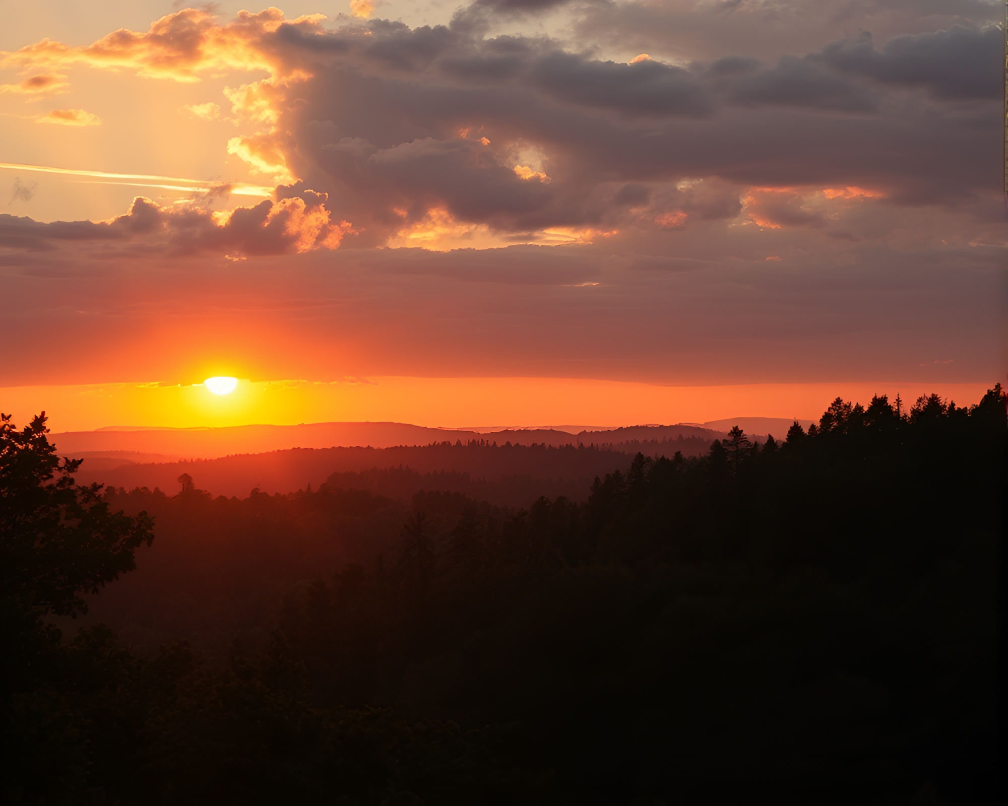 Majestic Forest Sunset Landscape Photography – free AI stock image