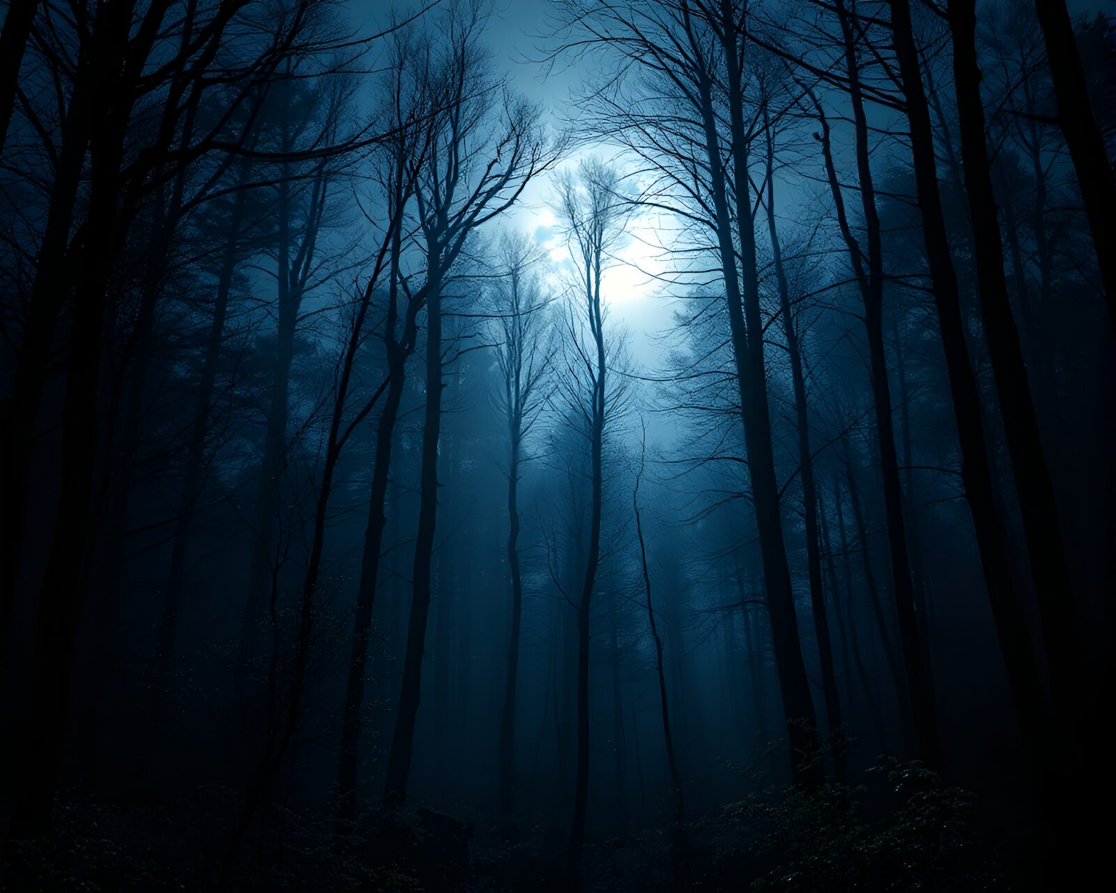 A mystical forest illuminated by the enchanting light of the full moon