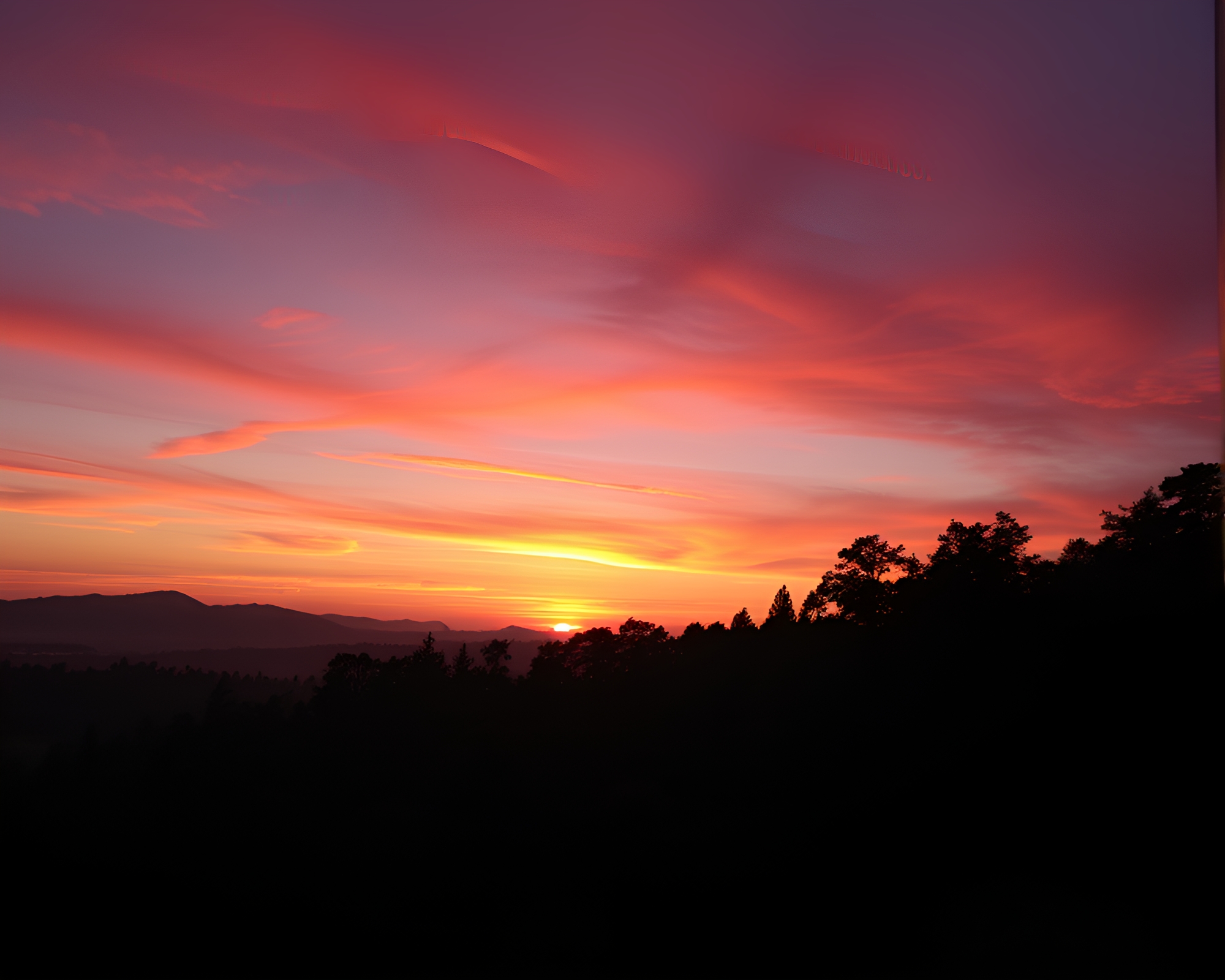 Vibrant Forest Sunset with Silhouetted Trees – free AI stock image