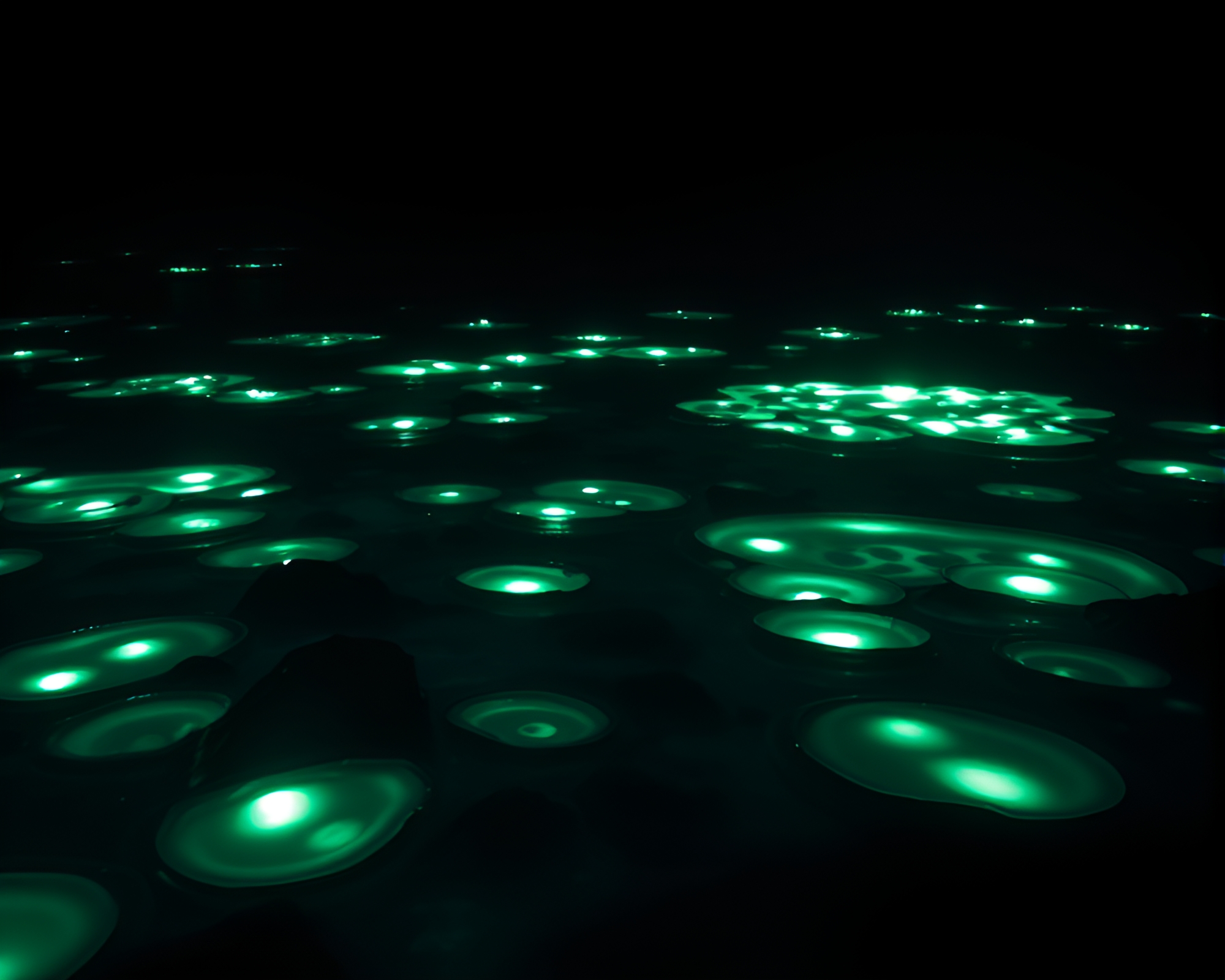 Enchanting Bioluminescent Tide Pools Cast Surreal Glow – free AI stock image