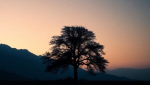 Celestial Tree in Negative Space – free AI stock image
