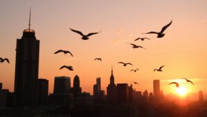 City Silhouettes at Sunset – free AI stock image