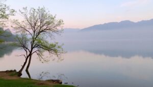 Dawn Reflections on a Quiet – free AI stock image