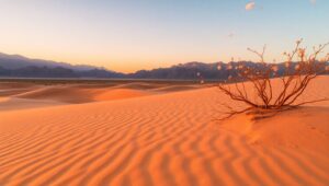 Desert Serenity in Sand Art – free AI stock image