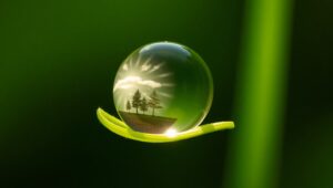 Dewdrop Reflection on Leaf Ky7 – free AI stock image