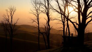 Elegant Dusk Over Serene Hills – free AI stock image