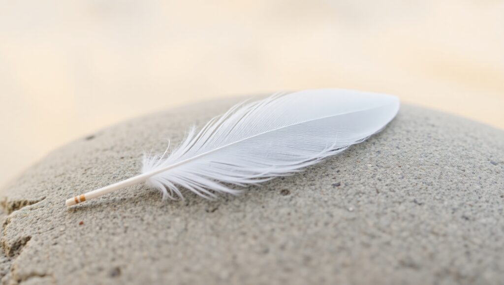 Feather on Stone: A Minimalist Scene – free AI stock image