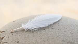 Feather on Stone: A Minimalist Scene – free AI stock image