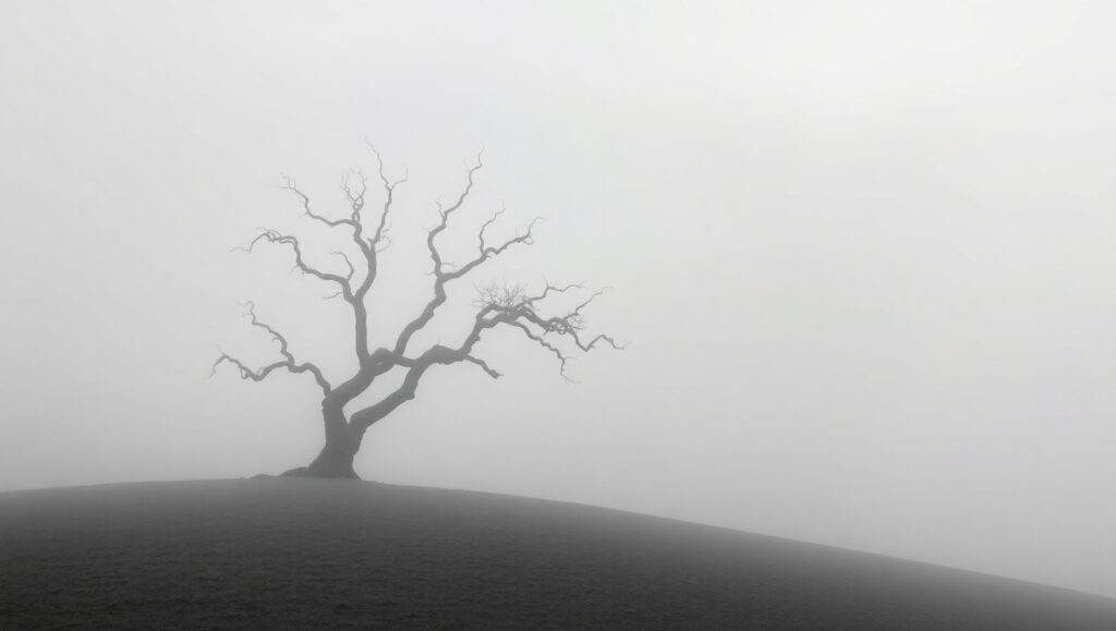 Foggy Hill with Solitary Tree – free AI stock image