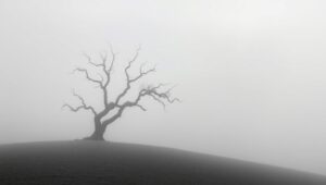 Foggy Hill with Solitary Tree – free AI stock image