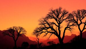 Harmony in Negative Space – free AI stock image