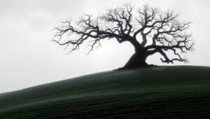 Misty Monochrome Tree Silhouette – free AI stock image