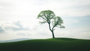 Nature’s Contrast in Negative Space – free AI stock image