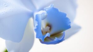 Orchid Bloom in Stunning Detail – free AI stock image