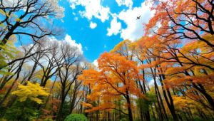 Seasons Change: A Forest Journey – free AI stock image