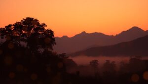 Serene Dusk Landscape with Bokeh – free AI stock image