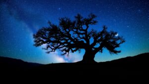 Silent Night Under Starry Skies – free AI stock image
