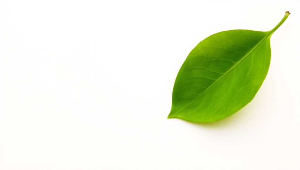 Solitary Leaf on White Canvas aIy – free AI stock image