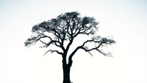 Solitary Oak in Gradient Serenity – free AI stock image