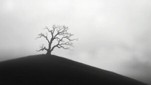 Solitary Tree in Monochrome Mist – free AI stock image