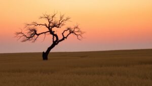 Solitude Under a Gradient – free AI stock image