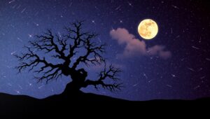 Starry Night Silhouette of a Tree – free AI stock image